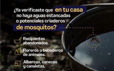 La fiebre amarilla se transmite por la picadura de mosquitos infectados