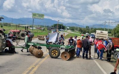 Paro arrocero en Tolima: bloqueos en vías clave desde este lunes 14 de julio