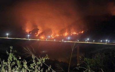 Incendio en cerro Gualanday lleva tres días sin control en Coello