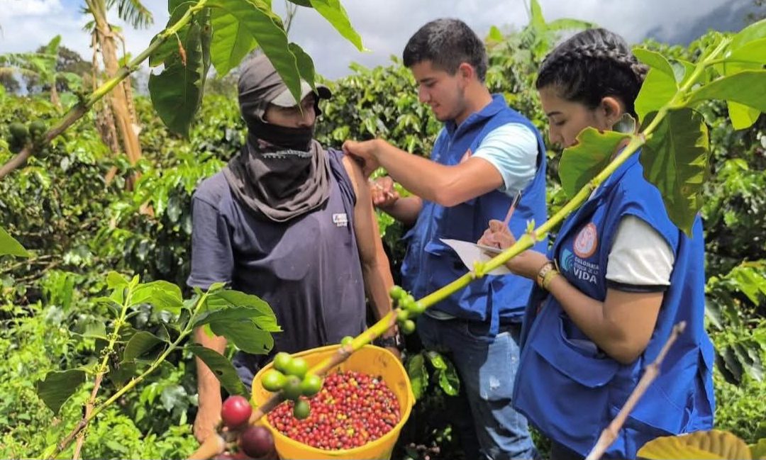 El Tolima fortalece la respuesta ante la fiebre amarilla