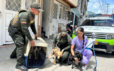 El CAPA y la Policía Ambiental salvaron a cuatro perros y un gato