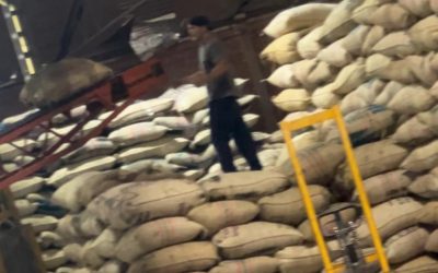 Caficultores del Tolima presentan sus  microlotes en el Concurso de Cafés Especiales 2025