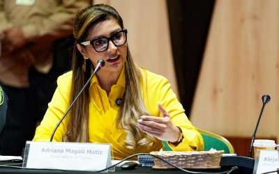 El proyecto fallido de «Seguridad en el Territorio» de Matiz