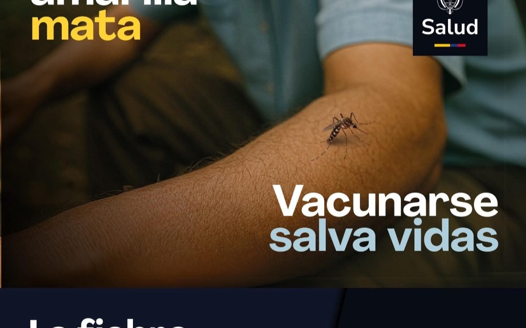 Si vives o vas a viajar a zonas de muy alto riesgo, vacúnate contra la fiebre amarilla
