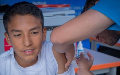 La fiebre amarilla resurge con fuerza en América Latina