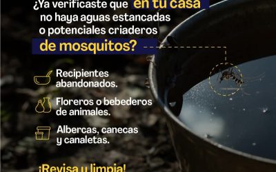 Sé consciente de tu entorno, evita la proliferación del mosquito