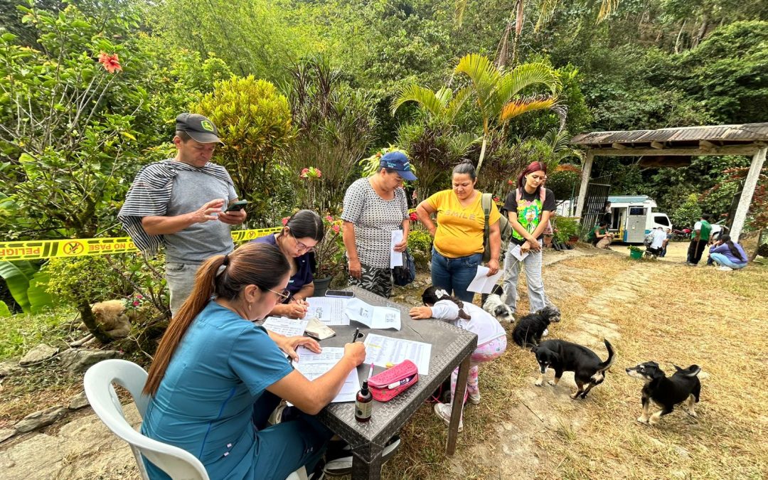 172 animales del CAPA ya tienen hogar en Ibagué en 2025