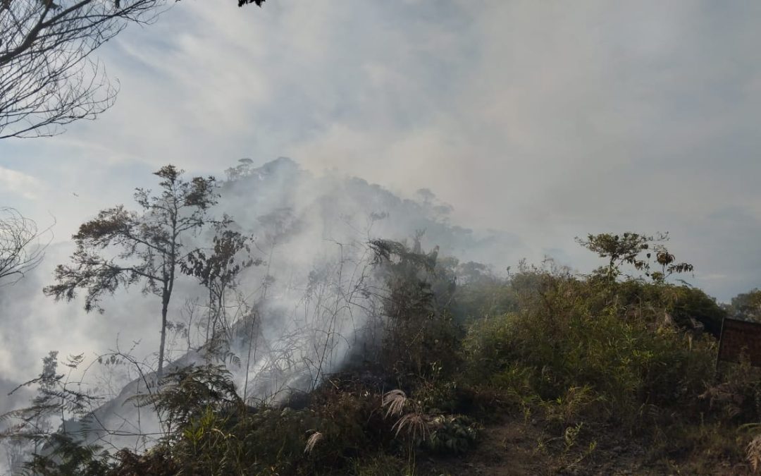 Tolima en alerta por calor extremo, lluvias e incendios