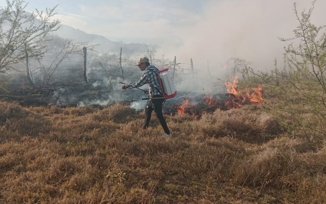 Coello en alerta por incendios: van 700 hectáreas afectadas