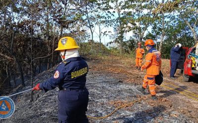 Incendios forestales arrasan más de 178 hectáreas en Tolima