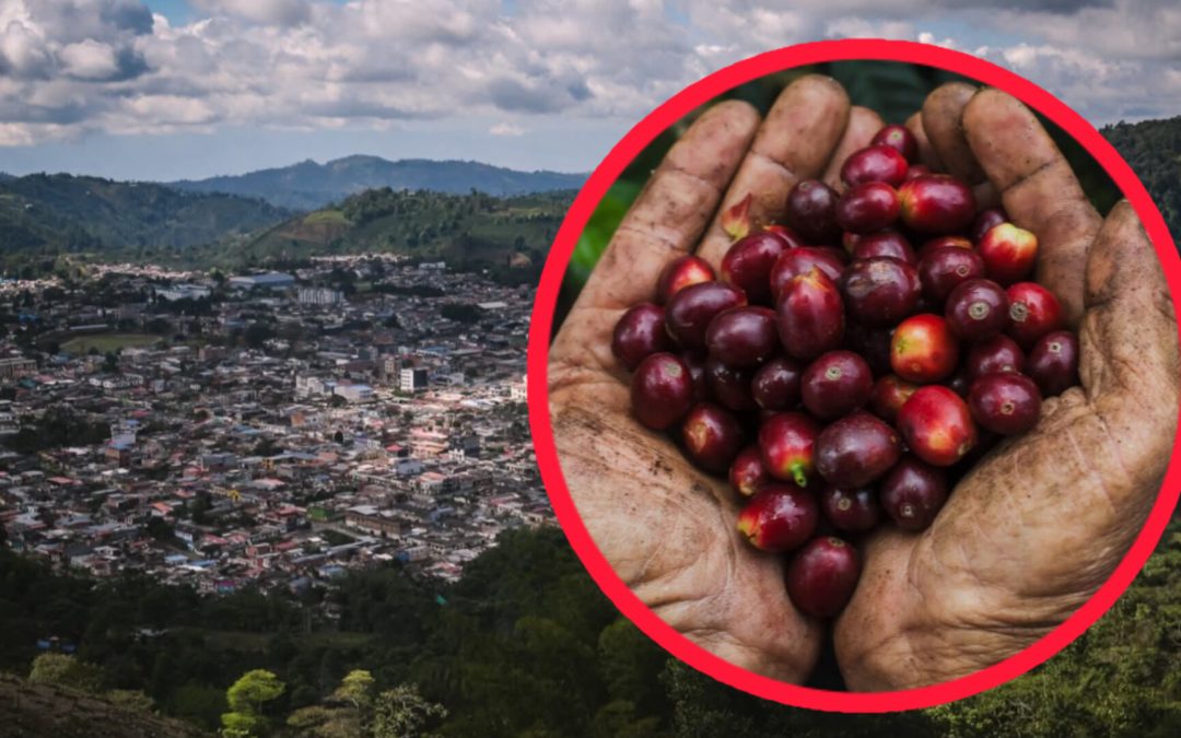 Feria Internacional del Café está listo en el Líbano