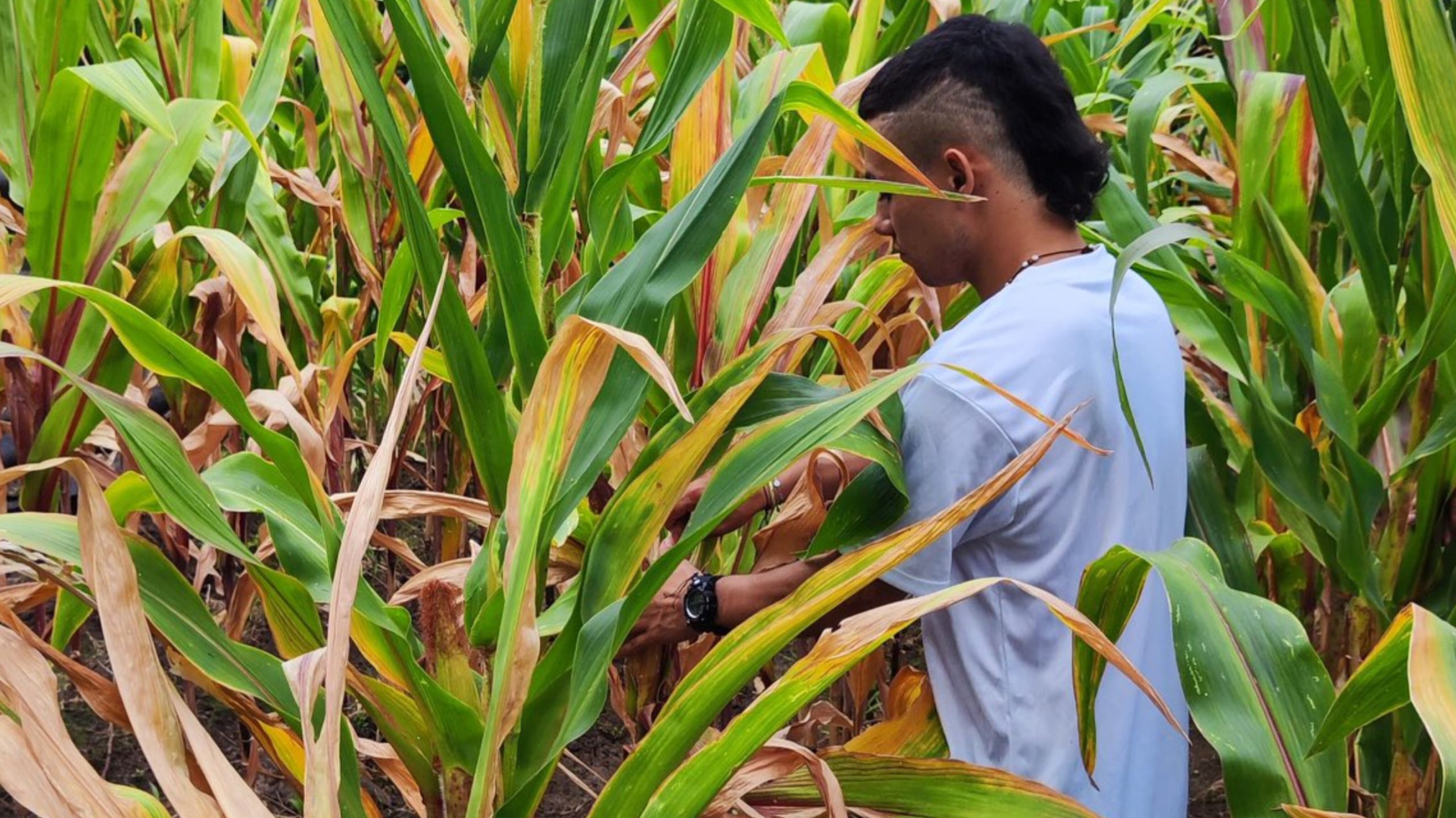 InShot_20250820_092507646