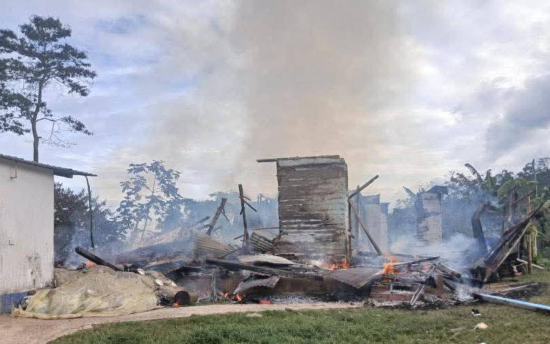 Tasmania, el perro héroe que salvó a una niña durante incendio en Lérida