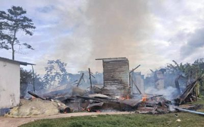 Tasmania, el perro héroe que salvó a una niña durante incendio en Lérida