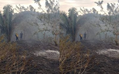 Refuerza la prevención de incendios forestales con 20 planes de contingencia en Tolima