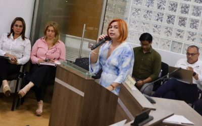 El Tolima fortalece su gestión pública, para mejorar la inversión
