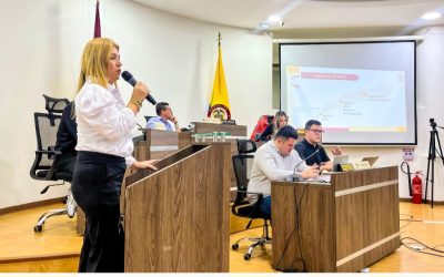 Asamblea del Tolima aprobó rubros y movimientos financieros en la Gobernación