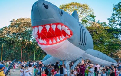 Más de 7.000 tolimenses participaron del Festival de Cometas Al Aire de ComfaTolima