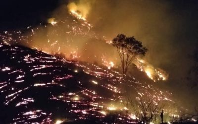 Incendio forestal en Honda arrasa 8 hectáreas y destruye una vivienda