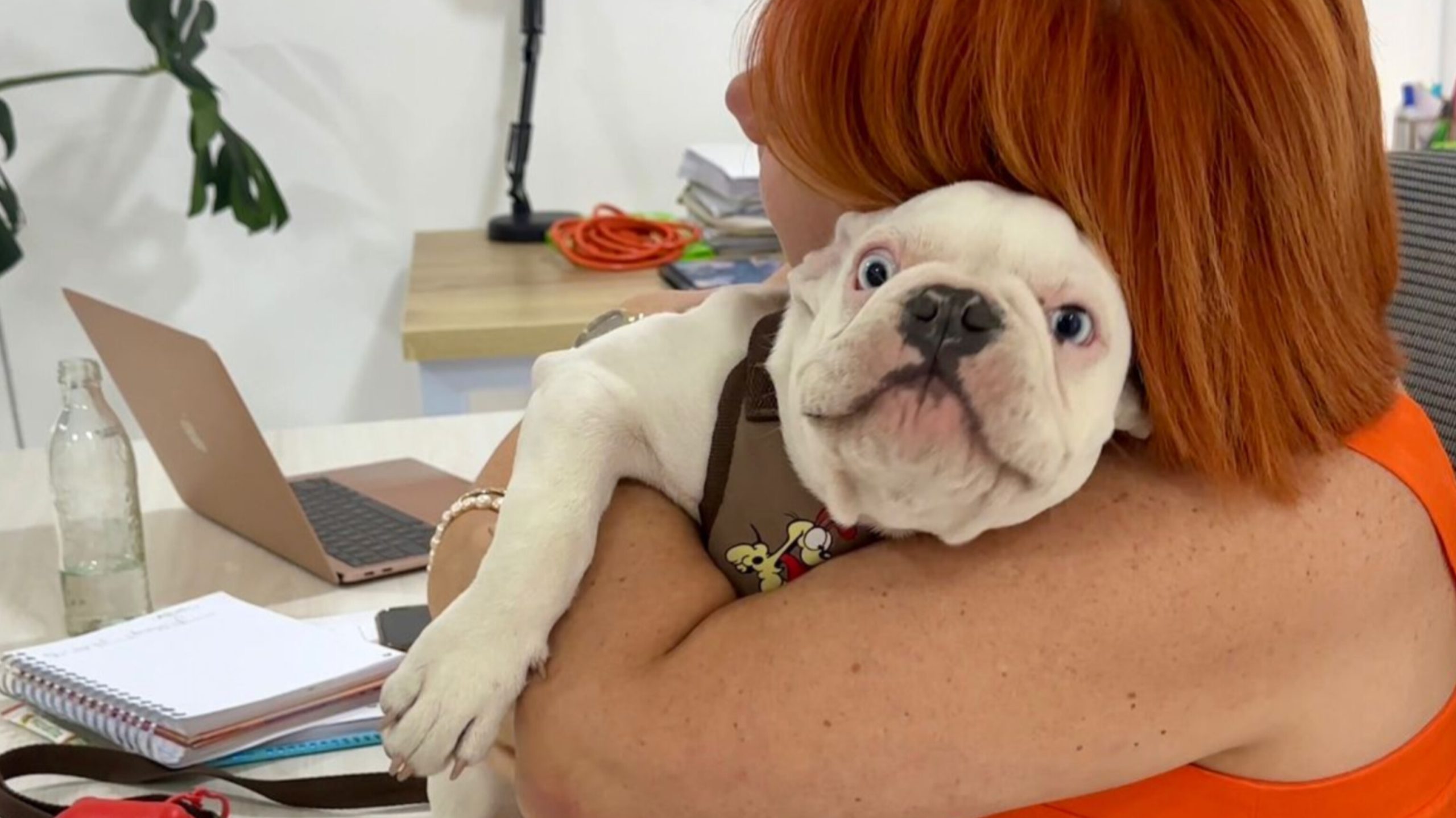 InShot_20250905_081102045