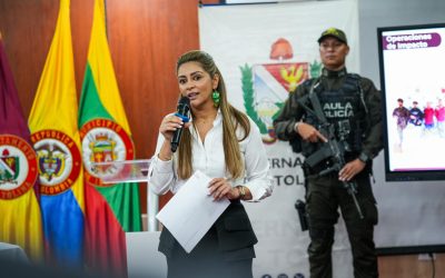 Tolima ofrece millonarias recompensas por cabecillas de disidencias