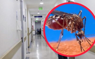 Confirman primera muerte por dengue en Ibagué durante 2025