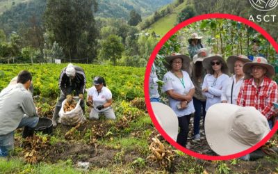 Tolima impulsa modelo innovador de Apropiación Social del Conocimiento
