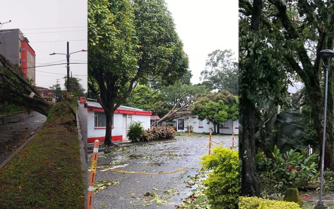 Tormenta eléctrica deja daños y emergencias en Ibagué