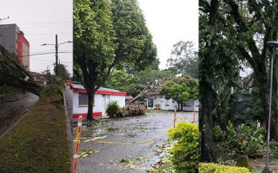 Tormenta eléctrica deja daños y emergencias en Ibagué