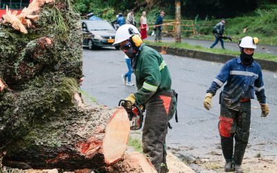 Infibagué acelera reparación del alumbrado tras emergencia por lluvias