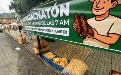 Cajamarca celebra la Arracachatón 2.0 en el peaje de Coello Cocora
