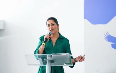 Minería ilegal y cultivos ilícitos acechan ecosistemas andinos del Tolima