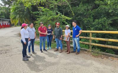 Tolima adjudica obra vial San Felipe–Falan–Palocabildo por $19 mil millones