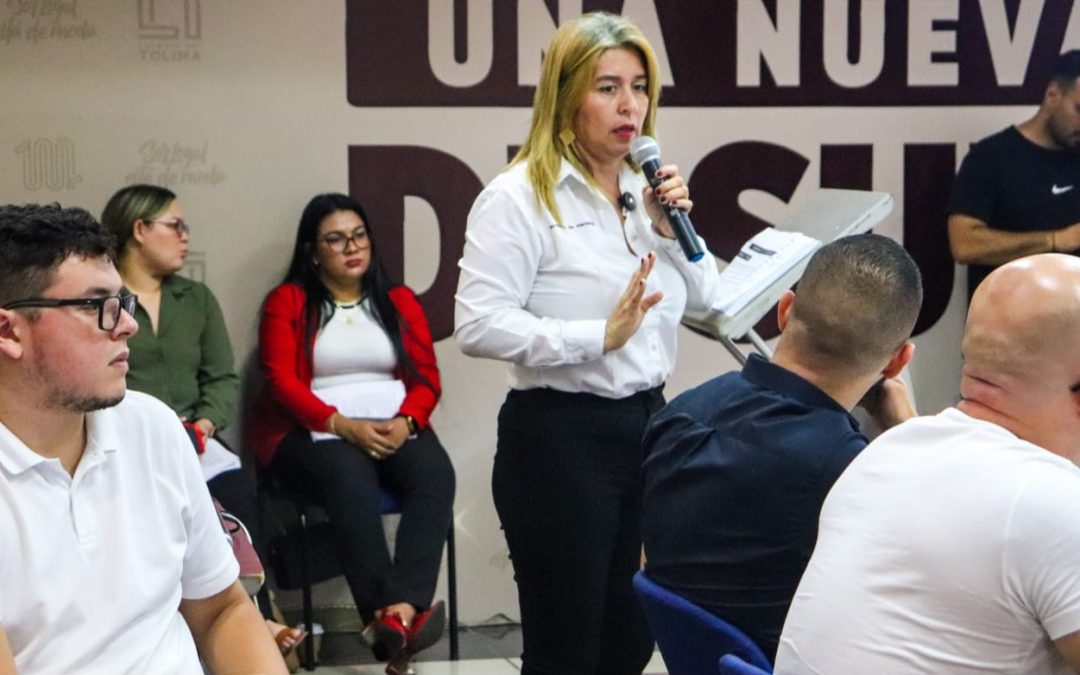 Gobierno del Tolima presenta, a la Asamblea, proyecto para alivios a propietarios de vehículos