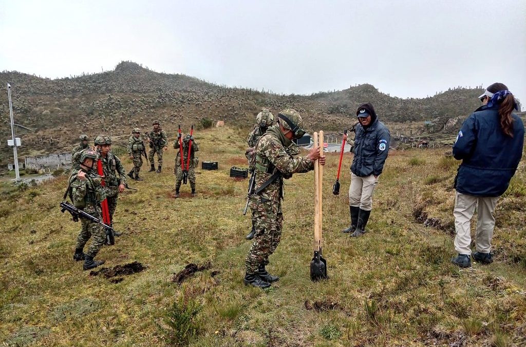 Soldados del Tolima protegen el páramo con más de 16.000 frailejones sembrados