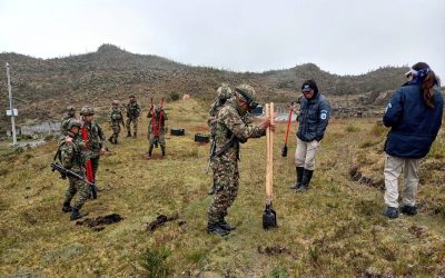 Soldados del Tolima protegen el páramo con más de 16.000 frailejones sembrados