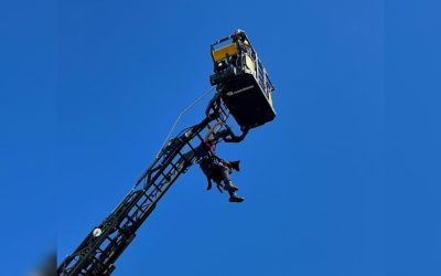 Bomberos de Ibagué realizará simulacro de incendio en edificio de gran altura