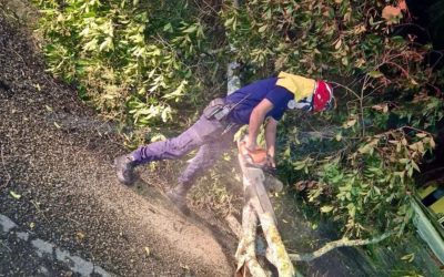 Lluvias en Ibagué causan emergencias y congestión vehicular, sin víctimas ni daños mayores