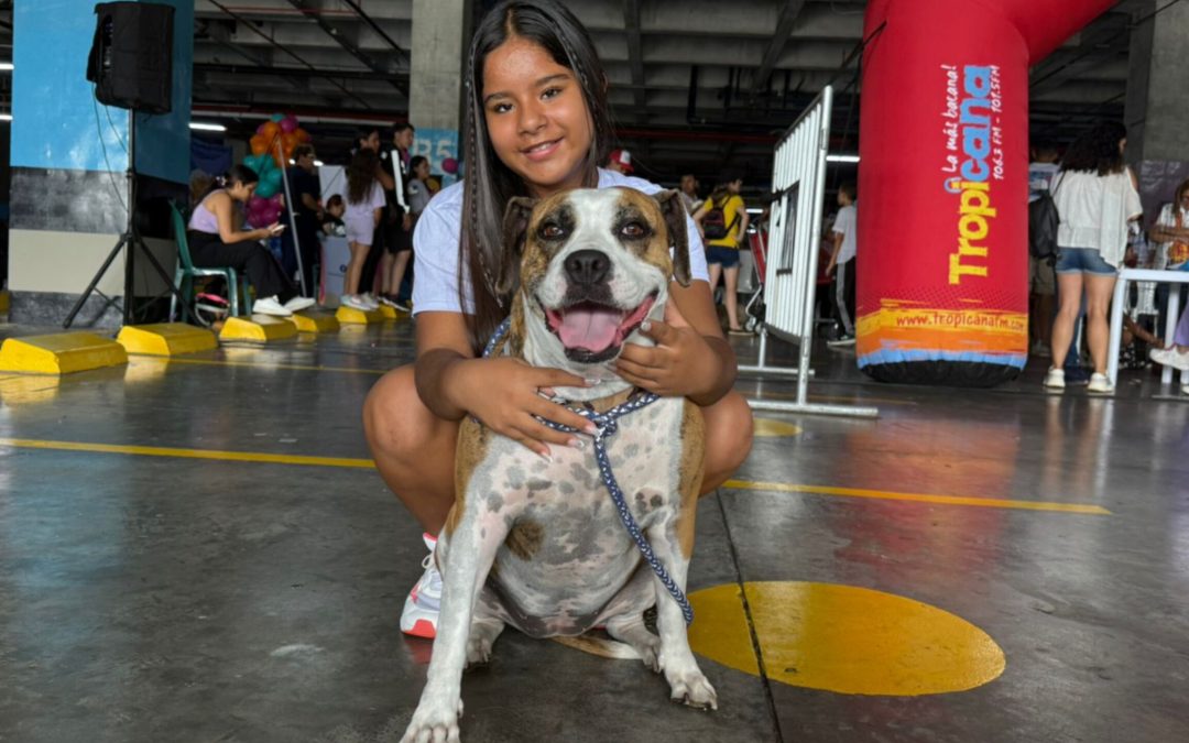 Más de 500 animales recibieron atención en jornada de bienestar en Ibagué