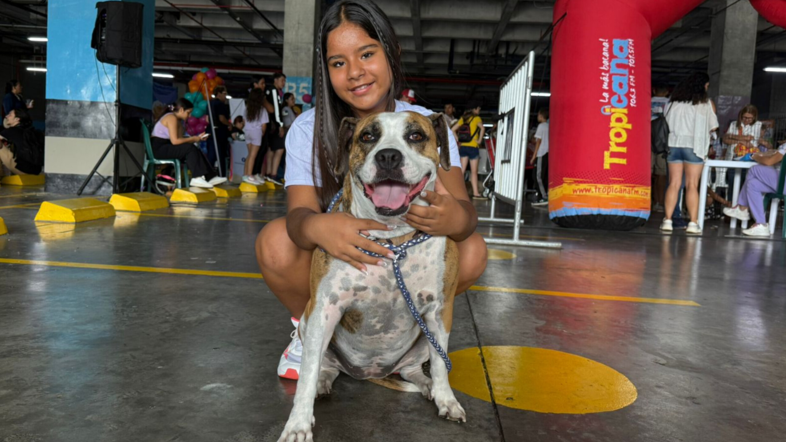 InShot_20251110_114641299