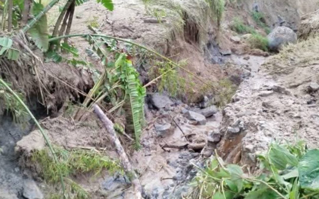 Derrumbe masivo bloquea más de 30 veredas en el Tolima