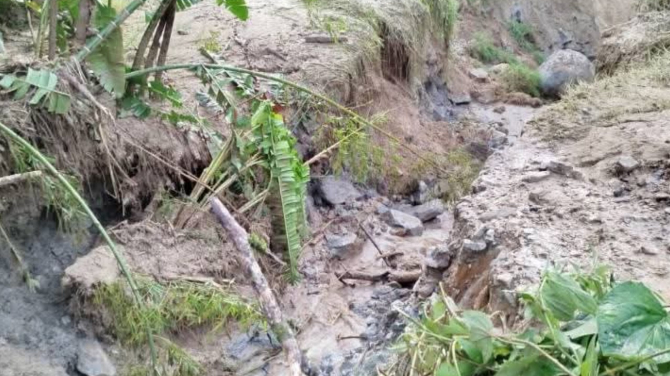 InShot_20251119_114046113