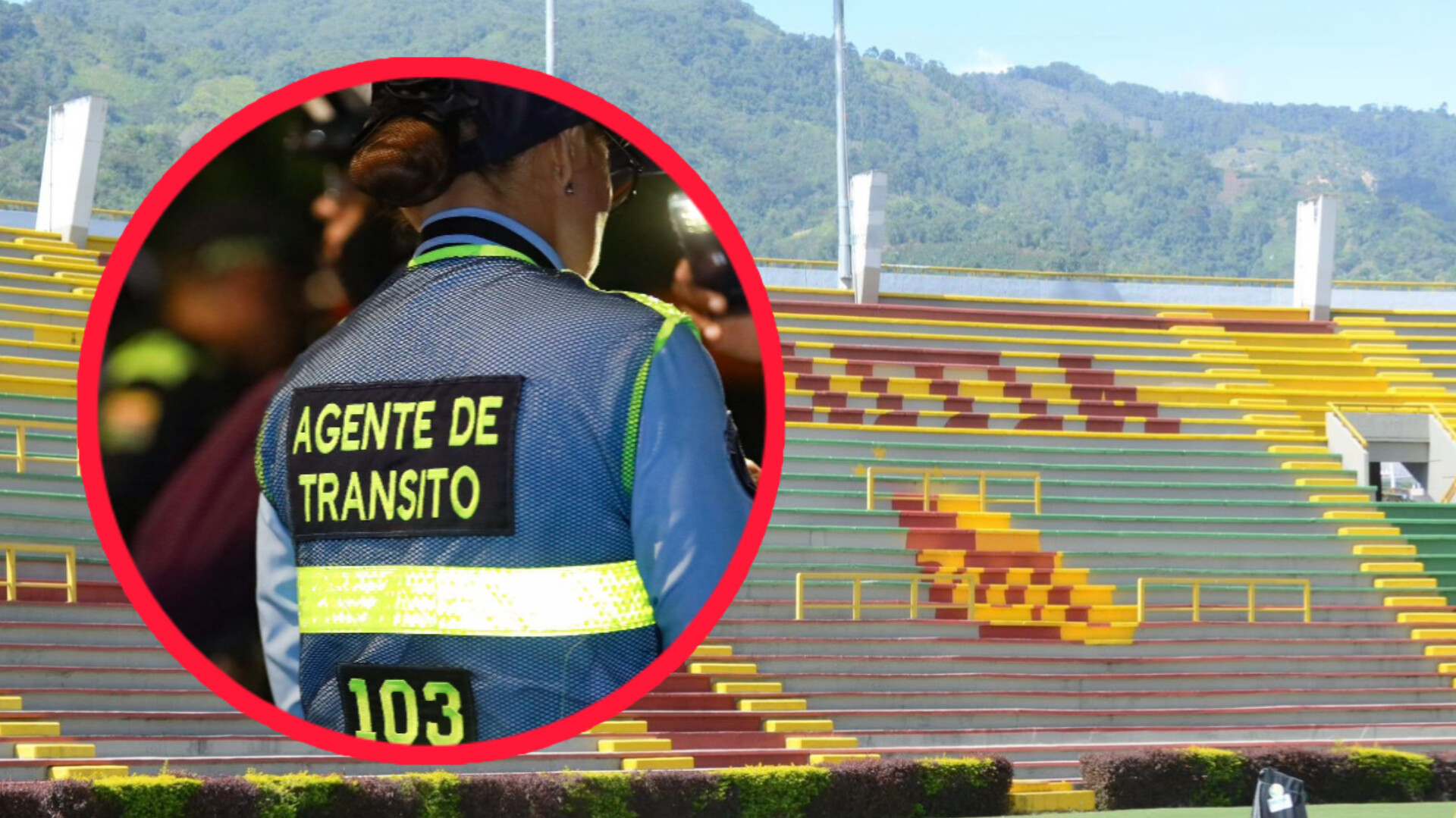 InShot_20251215_182314373