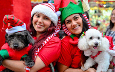 Ibagué vivirá una Adoptatón Navideña