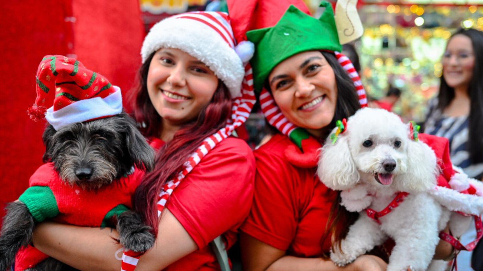 InShot_20251216_102319340