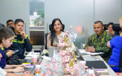 Tolima con estrategia integral contra la Fiebre amarilla