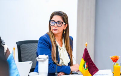 Gobernadores desconocen decreto de emergencia económica