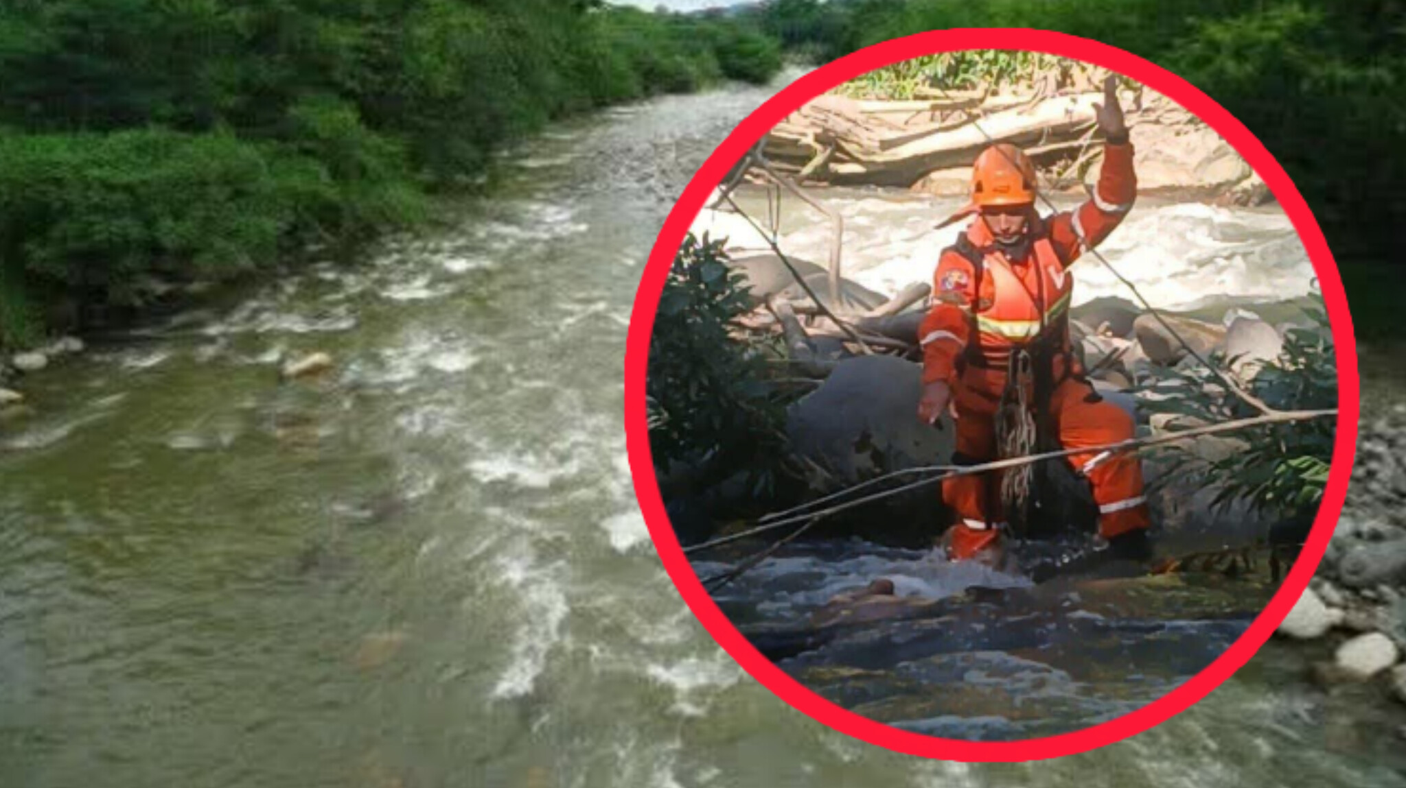 InShot_20260118_075402316