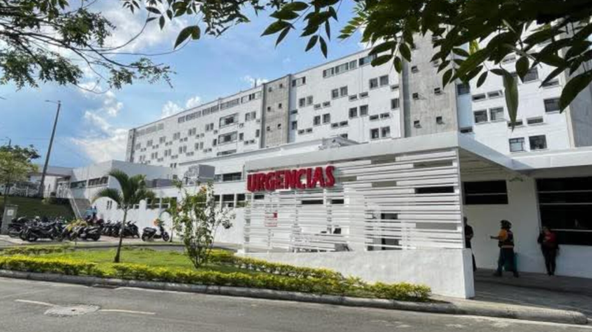 InShot_20260120_121951005