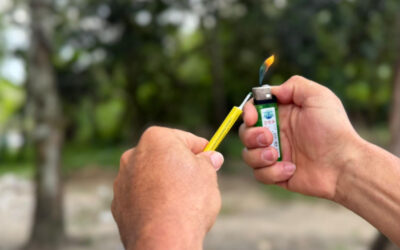 Disminuyen quemados por pólvora en Ibagué